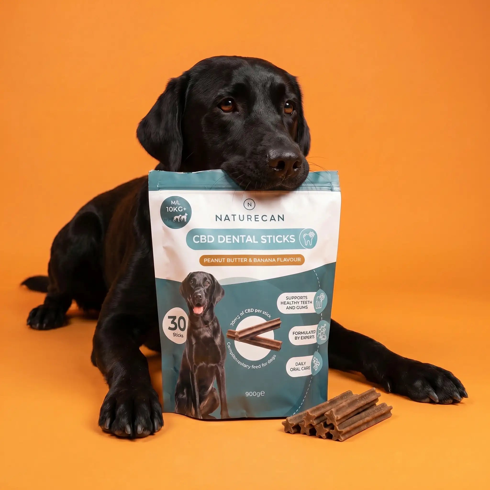 CBD Dental Sticks for Dogs