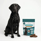 CBD Dental Sticks for Dogs