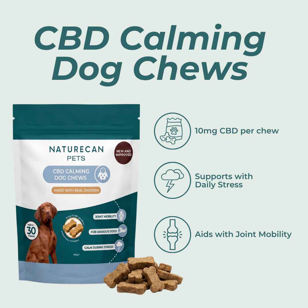 CBD Calming Dog Chews