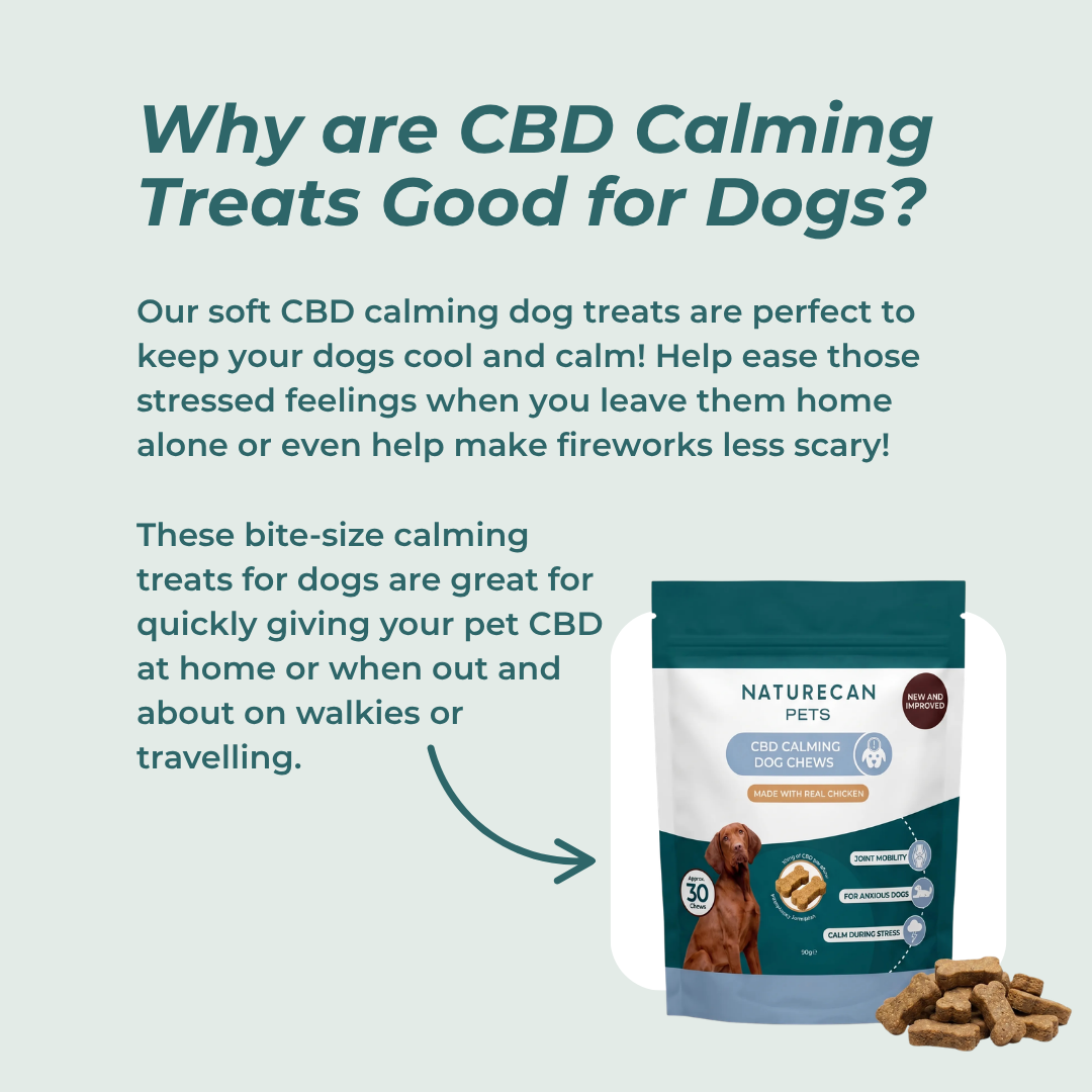 CBD Calming Dog Chews