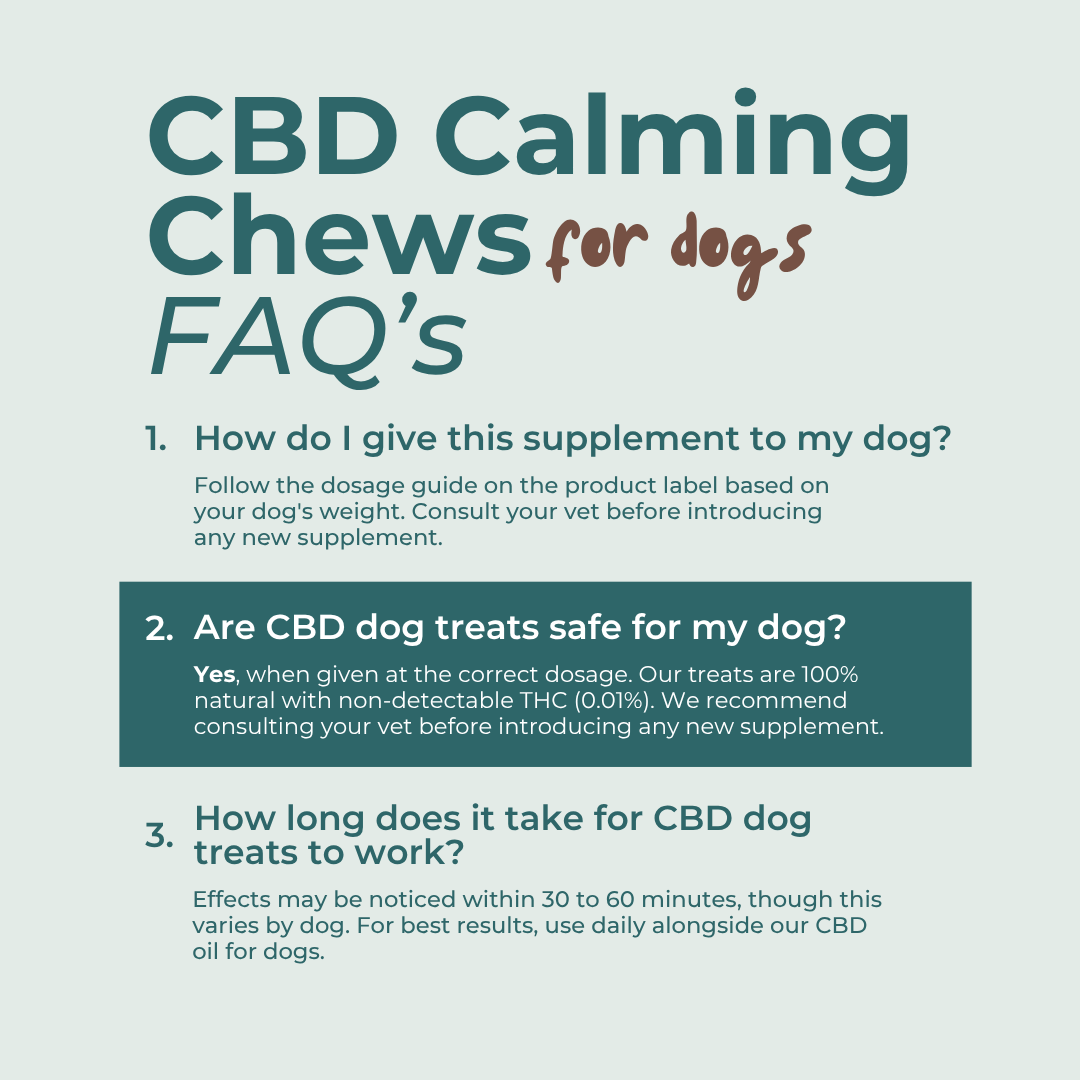 CBD Calming Dog Chews