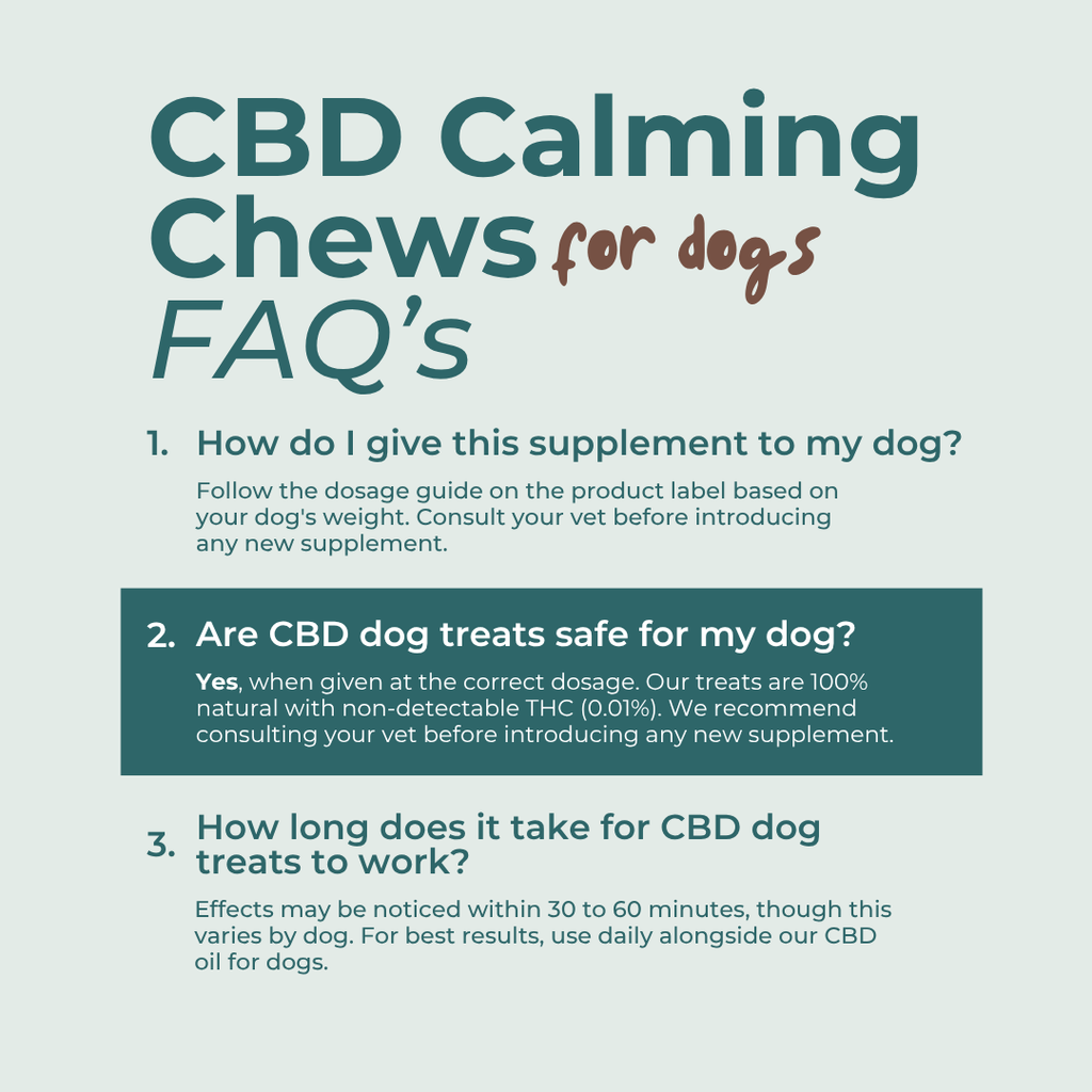 CBD Calming Dog Chews