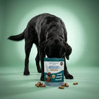 CBD Calming Dog Chews