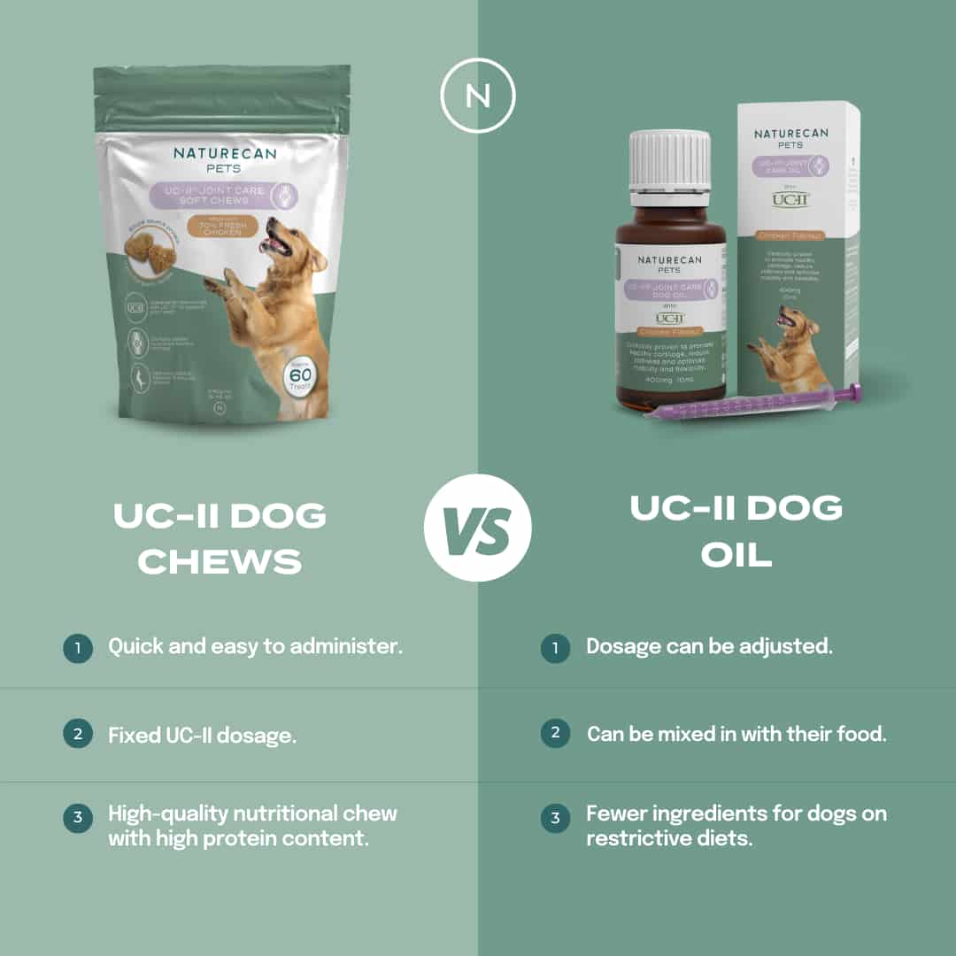Chews VS Oil