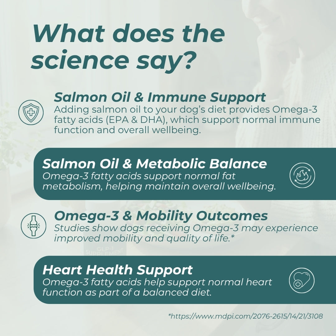Dog Salmon Oil