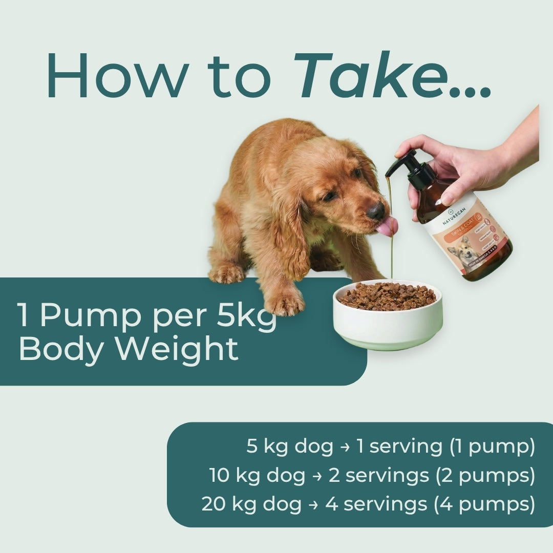 Dog fish oil