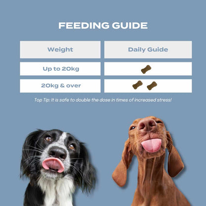 Feeding Guide - CBD Calming treats for dogs
