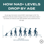 Infographic illustrating the decline of NAD+ levels with age, featuring a graph and human silhouettes from infancy to...
