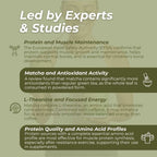 An infographic with a muted olive-green background and white text explaining benefits of matcha and protein, including protein and muscle maintenance, antioxidant activity, L-theanine and focused energy, and protein quality and amino acid profiles.