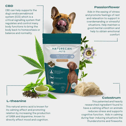 CBD Calming Chews for Dogs Ingredients