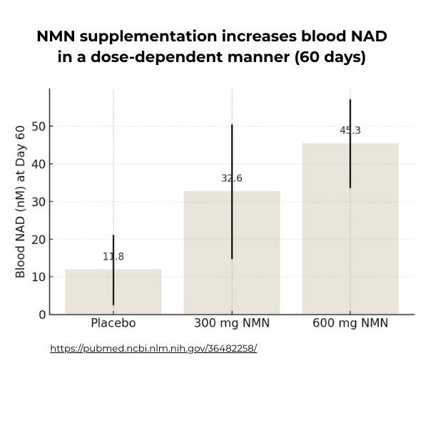 NMN Supplement