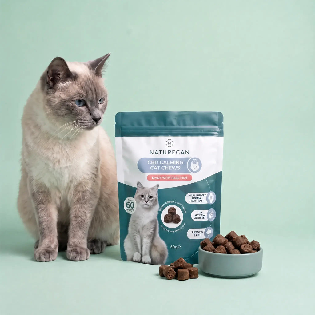 CBD Calming Cat Treats