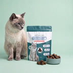 CBD Calming Cat Treats