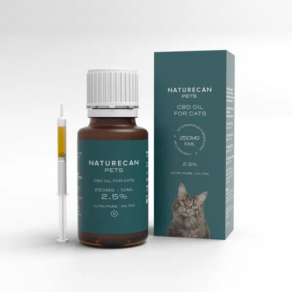Quality of Life - Cats 2 CBD Oil for Cats