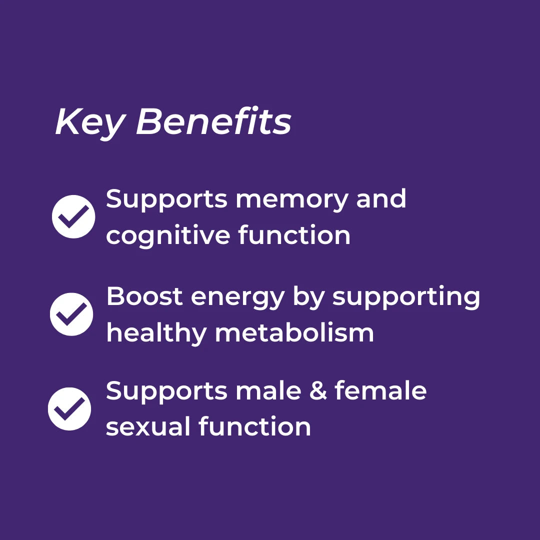List of key benefits on a purple background