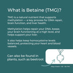 TMG Supplement