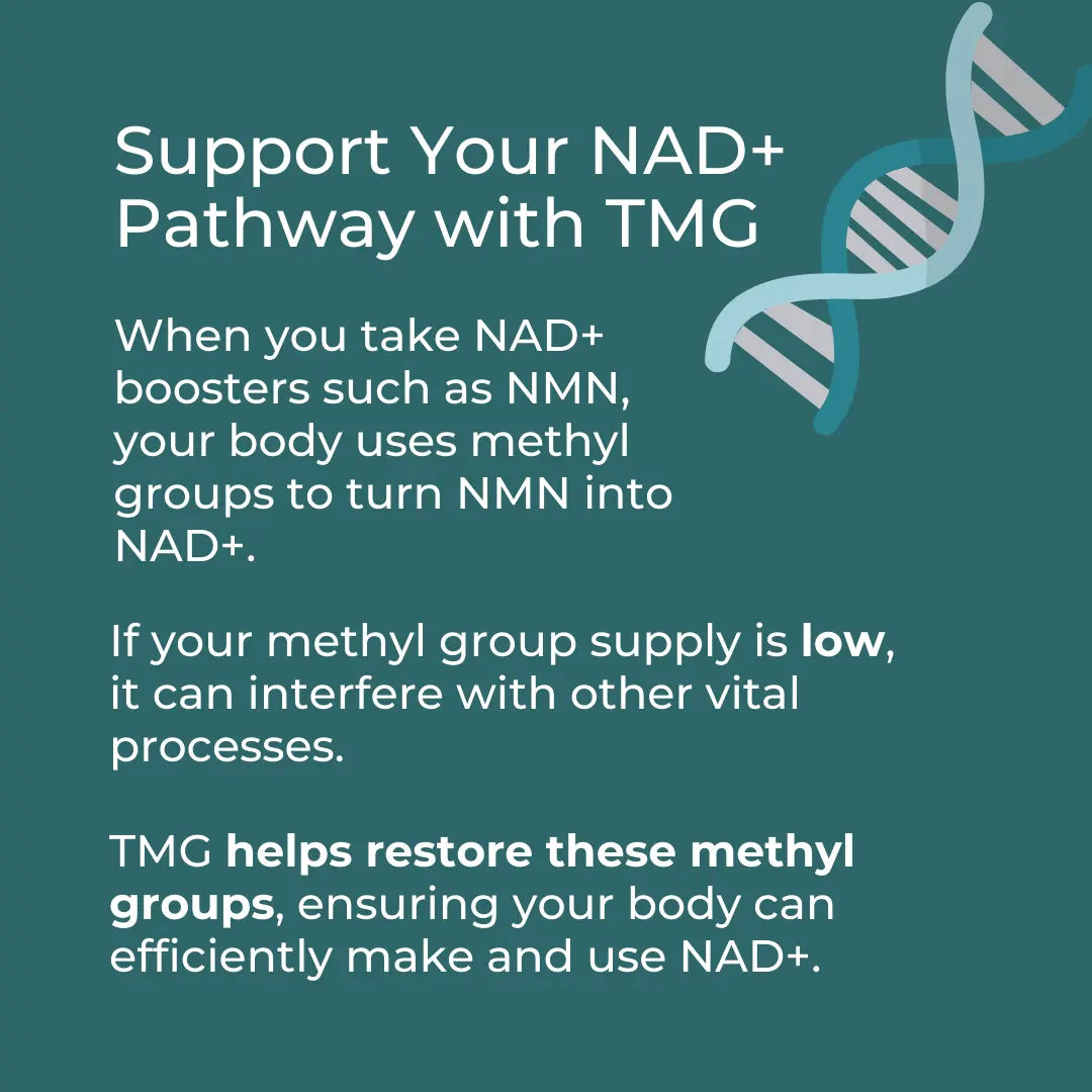 TMG Supplement