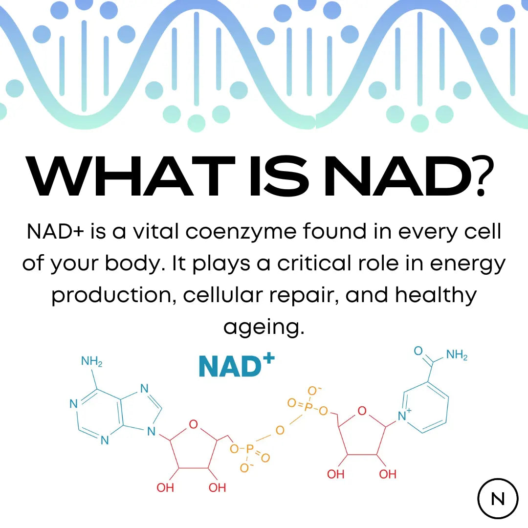 NMN and Resveratrol Bundle