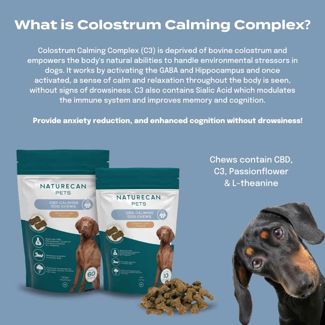 WHat is Colostrum Calming Complex?