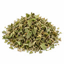 Catnip (Nepeta cataria)