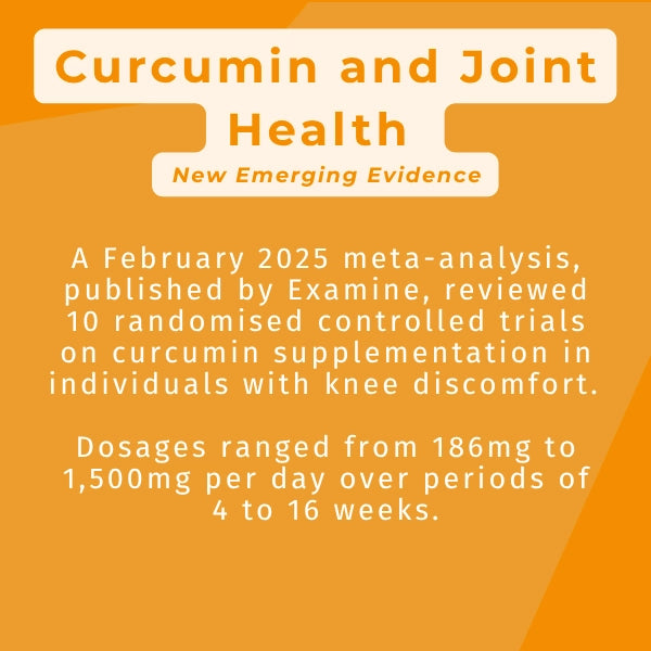 Active Curcumin
