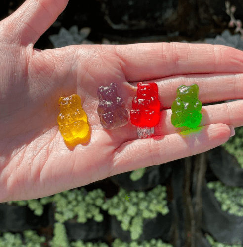 CBD Gummies