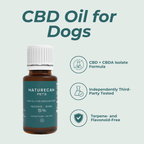 CBD Oil for Dogs