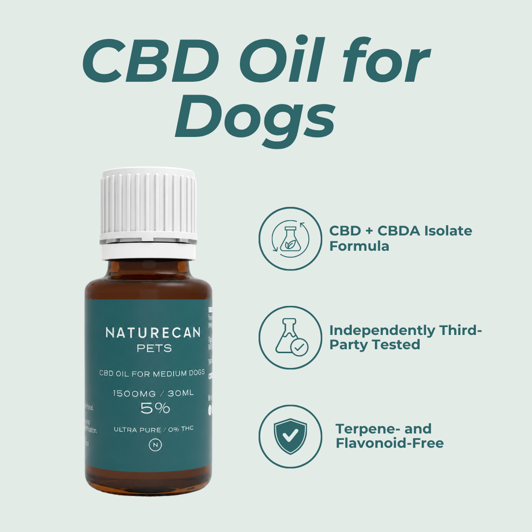 CBD Oil for Dogs