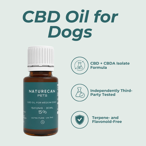 CBD Oil for Dogs