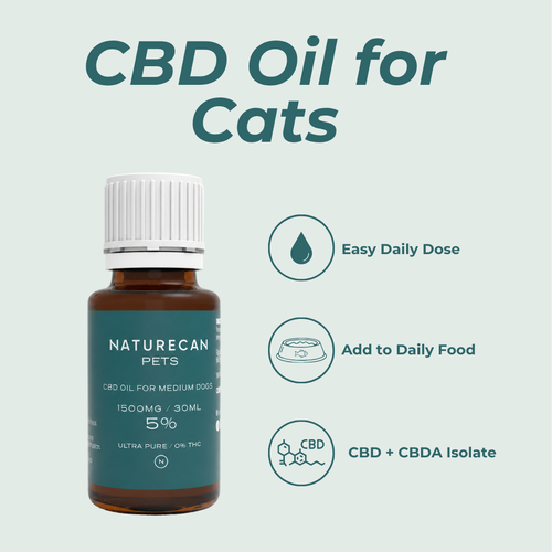 CBD Oil for Cats