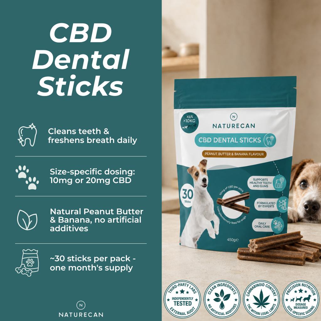 CBD Dental Sticks for Dogs