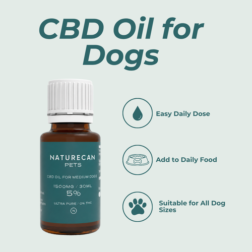 CBD Oil for Dogs
