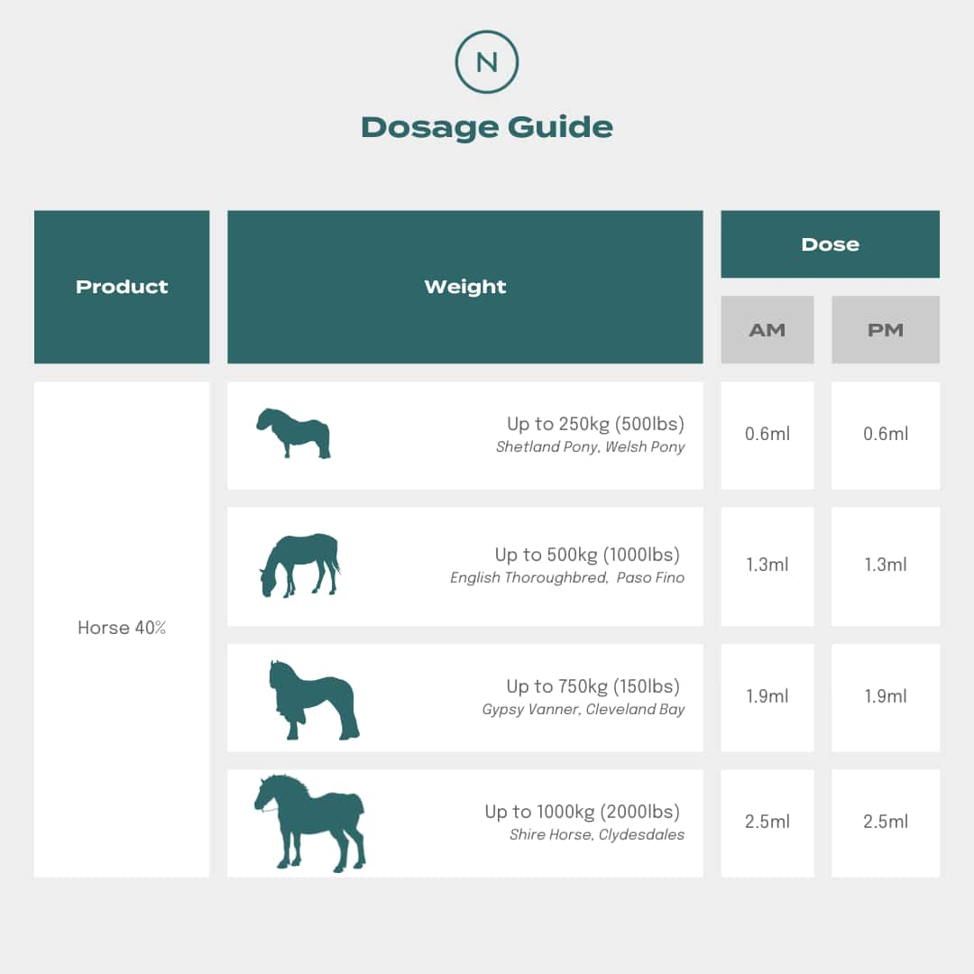 CBD oil for horses dosage